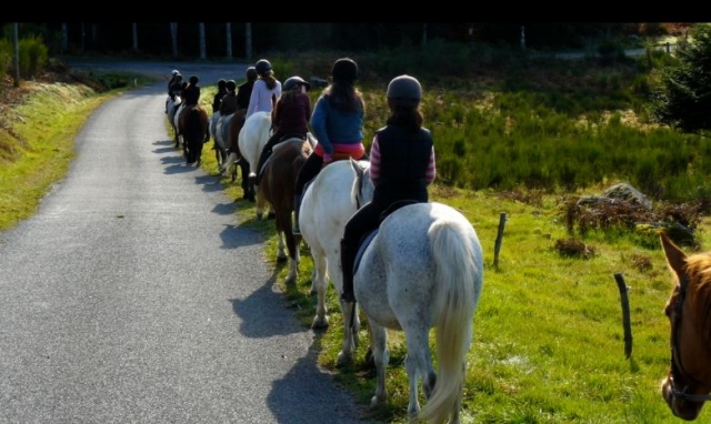  Camicrema Auvernia Motos Ocio